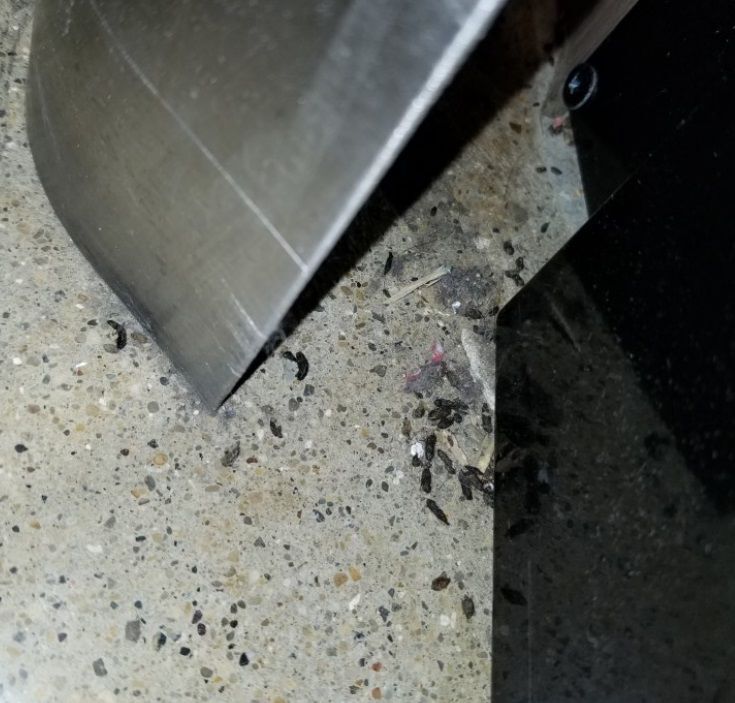 April 14 Kroger inspection